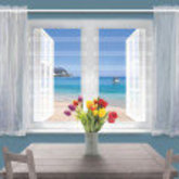 Xpanda Clear Vision Bars