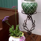 Pot Plant Stands