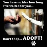 Don't shop, Adopt.
