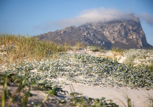 Discover the Great Outdoors of Pringle Bay & Rooi Els
