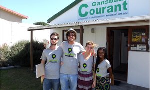 Platbos Forest Festival