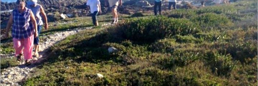 Gansbaai_Skemerstap_gewild_1