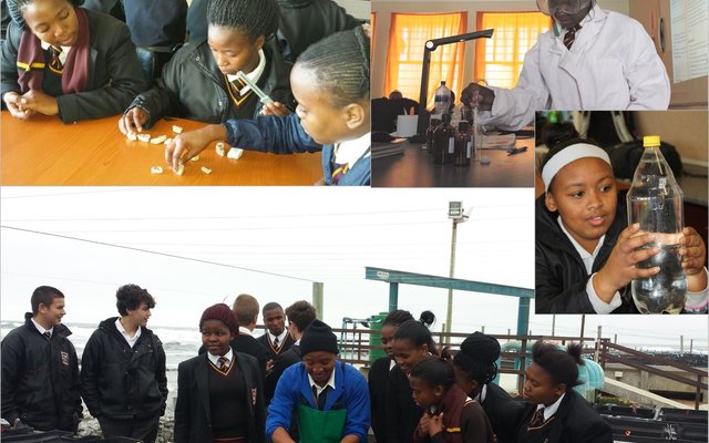 Die skool spog ook met â€˜n Marine Science klub. In samewerking met die Two Oceanâ€™s Aquarium word leerders geleer van die oseaan en die wonderlike seelewe. As alles goed verloop bied ons eersdaags Oseanografie en Maritieme Studies aan.