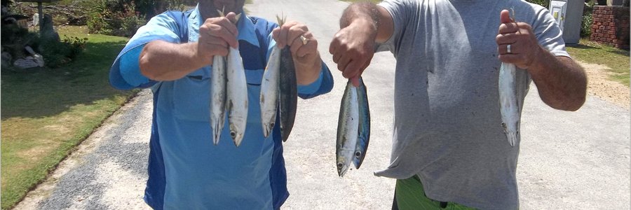 Eddie Bester en sy skoonseun, Jacques, met van die makriel waarvan daar nou baie gevang word.