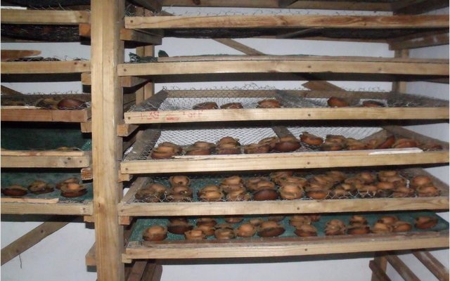 Gansbaai_Plaas_Smokkelnes_Skok_4