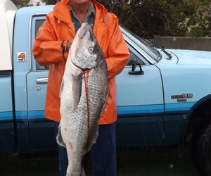 Stewige 17 Steenbras by Wrak gevang