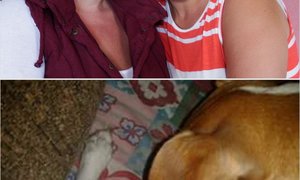 Jack Russell en Fisantkuiken