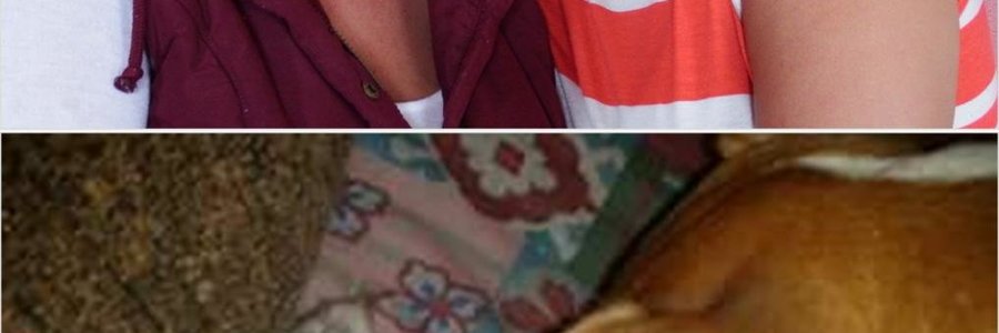 Vlnr is Stella Olivier en Elize van Deventer wat elk vir â€˜n diere-verhaaltjie gesorg het