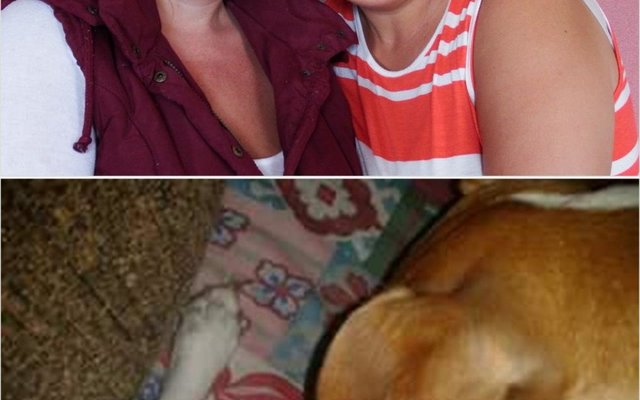 Vlnr is Stella Olivier en Elize van Deventer wat elk vir â€˜n diere-verhaaltjie gesorg het