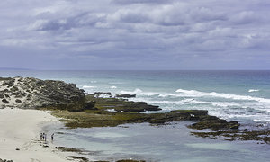 4 Hot Reasons to Visit De Hoop this Winter