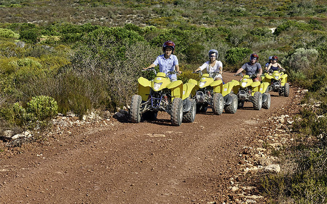 Guided Eco Quad Bike Rides
