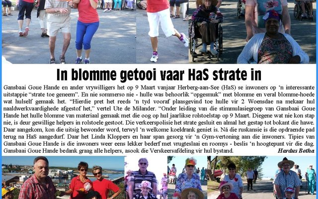 Gansbaai_In_blomme_getooi_vaar_HAS_strate_in_Collage_Monica_Hayes_1