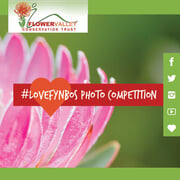 Weâ€™re celebrating Plant Appreciation Day - and you can WIN