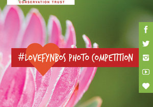 Weâ€™re celebrating Plant Appreciation Day - and you can WIN