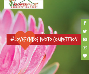 Weâ€™re celebrating Plant Appreciation Day - and you can WIN