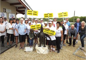 African Penguin Promises Waddle
