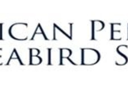 African_Penguin_Seabird_Sanctuary