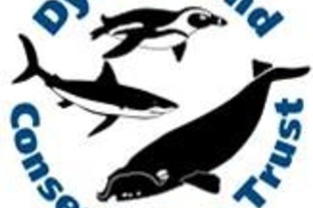 Dyer_Island_Conservations_Trust_1