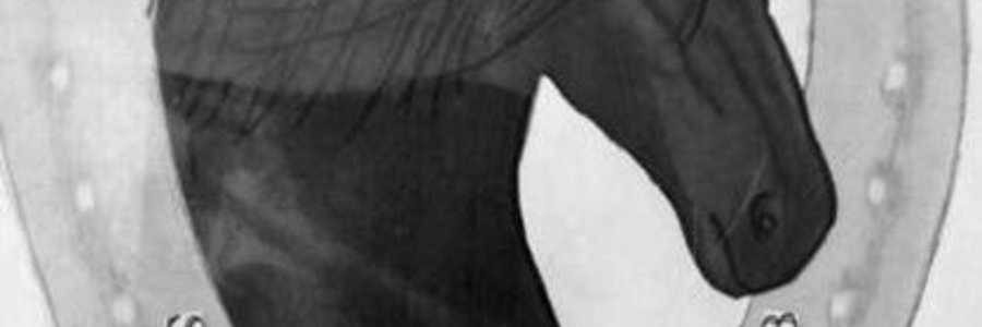 Strandveld_Perdryklub_1