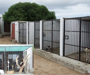 BARC se Gholfdankies