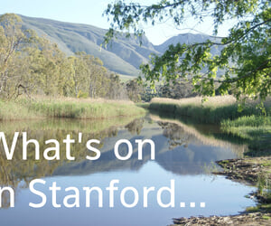 What's on in Stanford (25 - 29 April 2016)