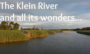 The Klein River and all its wonders