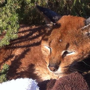 A brave lady....who changed my life forever