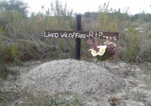 The Story behind Overberg WildnFree