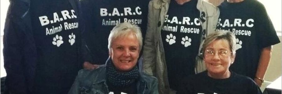 Die hardwerkende â€œBARC Girlsâ€, met voor vlnr Vera Swart en Annalie Jonker en agter vlnr Theresse de Wet, Karen Trautmen, Emeke Stieger en Elsabie Schoombie (organiseerder van BARC se Gholfdag) 