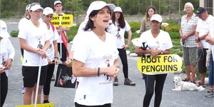 Gansbaai_Waggel_Waggel_Pikkewyne_2