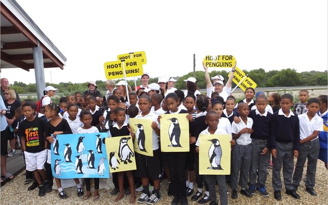 Gansbaai_Waggel_Waggel_Pikkewyne_6