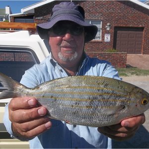 Seker nie â€˜n rekord nie, maar so â€˜n groot mooinooientjie (twakkie) sien jy nie aldag nie. Trevor Korte het die mooi vis vanaf Kwaailappies by Joubert se Dam gevang.   