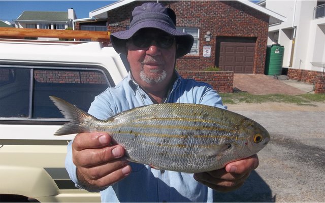 Seker nie â€˜n rekord nie, maar so â€˜n groot mooinooientjie (twakkie) sien jy nie aldag nie. Trevor Korte het die mooi vis vanaf Kwaailappies by Joubert se Dam gevang.   