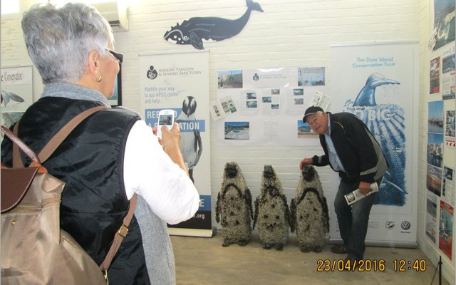 Plumstead se Seniors besigtig die pragtige uitstallings van Gansbaai Toerisme