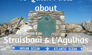 10 Quick Facts about Lâ€™Agulhas and Struisbaai