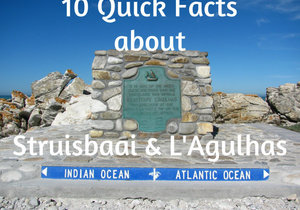 10 Quick Facts about Lâ€™Agulhas and Struisbaai