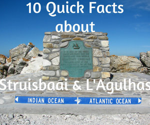 10 Quick Facts about Lâ€™Agulhas and Struisbaai
