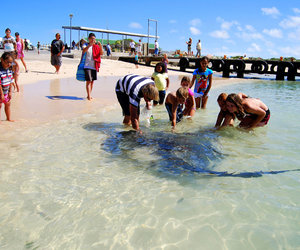 5 Fun, Free Things to Do in Lâ€™Agulhas & Struisbaai