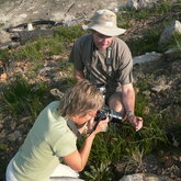 Finding a rare fynbos species
