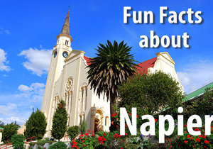 10 Fun Facts about Napier