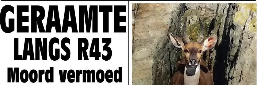 Gansbaai_Courant_5_Mei_2016_Voorblad