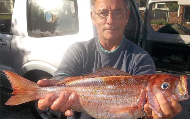 Dit kos â€˜n bietjie soek, maarâ€¦.. Steve Serbon hou een van vier baie mooi silwervisse vas wat hy Maandag naby die Birkenhead raakgeloop het.  