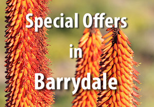 Special Offers in Barrydale