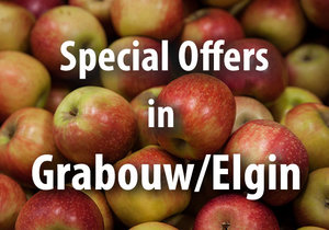 Special Offers in Grabouw/Elgin