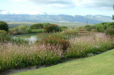 View_from_Restaurant