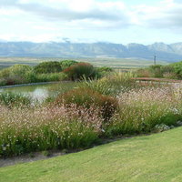 View from Restaurant