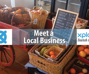 Meet a Local Business: Pringle Bay / Rooi Els