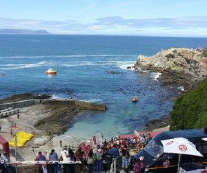Upcoming Events in Hermanus