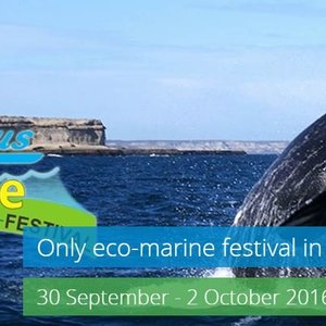 Hermanus Whale Festival (30 September - 2 October 2016)