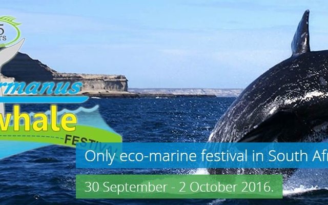 Hermanus Whale Festival (30 September - 2 October 2016)